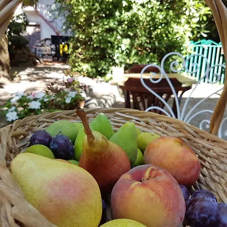 Greif Boutique Juna Gospodarstwo agroturystyczne *