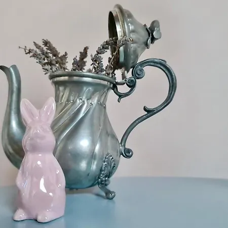 مزرعة للإقامة Greif Boutique Juna أوريسينا