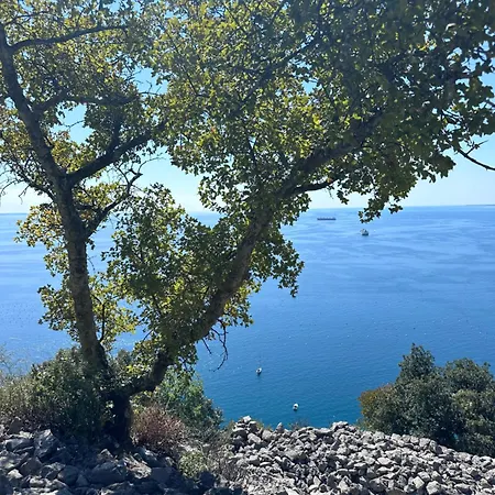 Greif Boutique Juna Κατάλυμα σε φάρμα