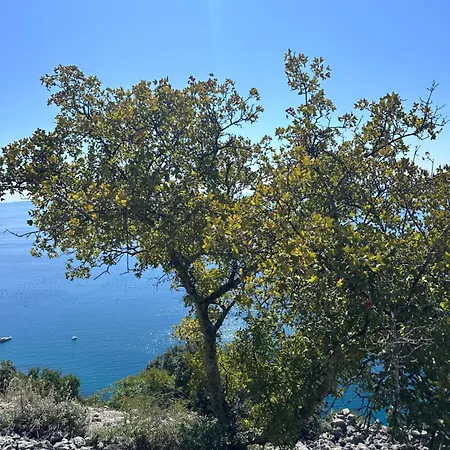 Greif Boutique Juna Фермерский дом