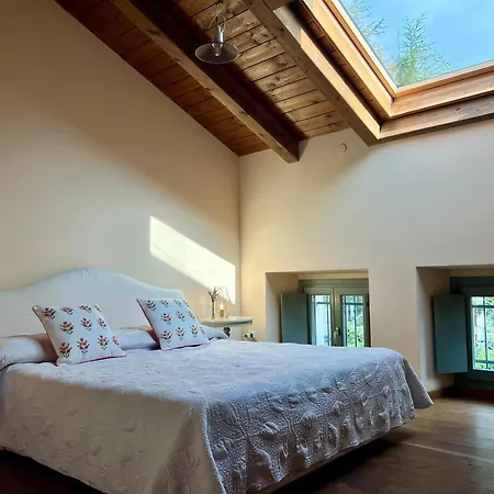 Greif Boutique Juna Ауризина