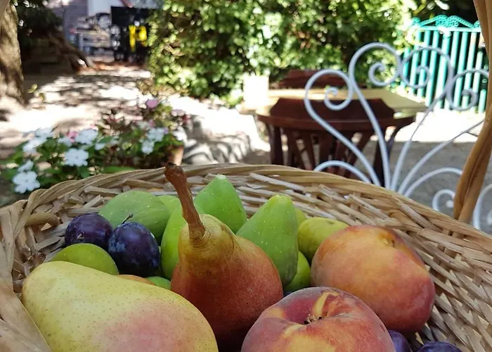 Greif Boutique Juna Farmház *