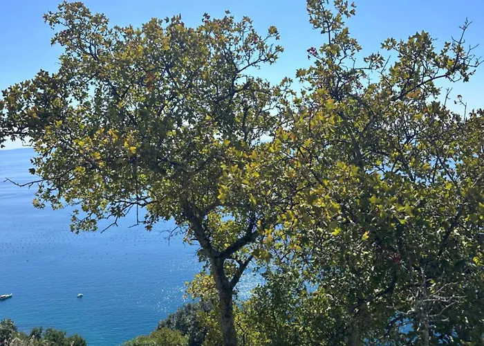 Greif Boutique Juna Farmház